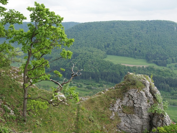 Bild Nr. 5